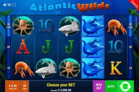 Atlantic Wilds Img