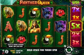 Panther Queen Img