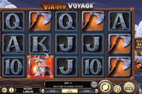 Viking Voyage Img