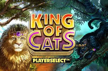 King of Cats Slot Game Free Play at Casino Zimbabwe