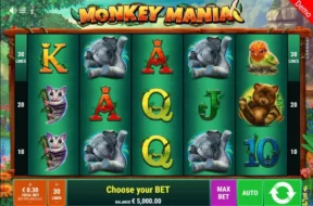 monkey mania img